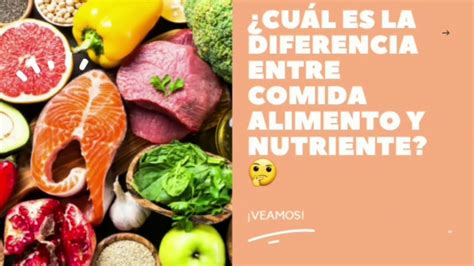 food traduccion|comida vs alimento.